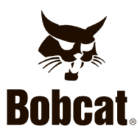 Bobcat